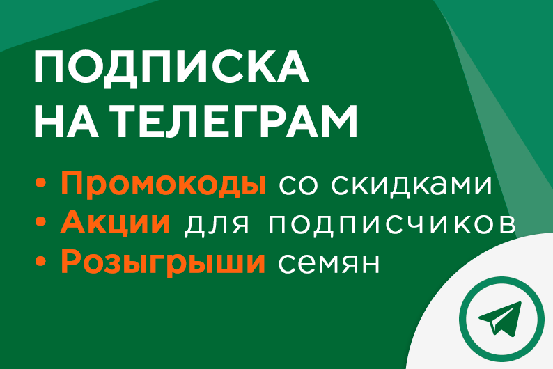 телеграмм канал семена конопли