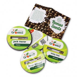 AK 47 Fem.